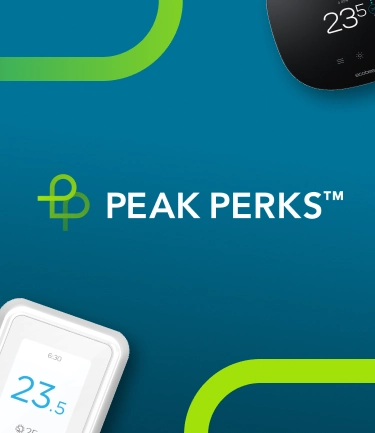 Peak Perks campaign brand lockup on a teal background with thermostat product imagery, showcasing the program name and visual identity.