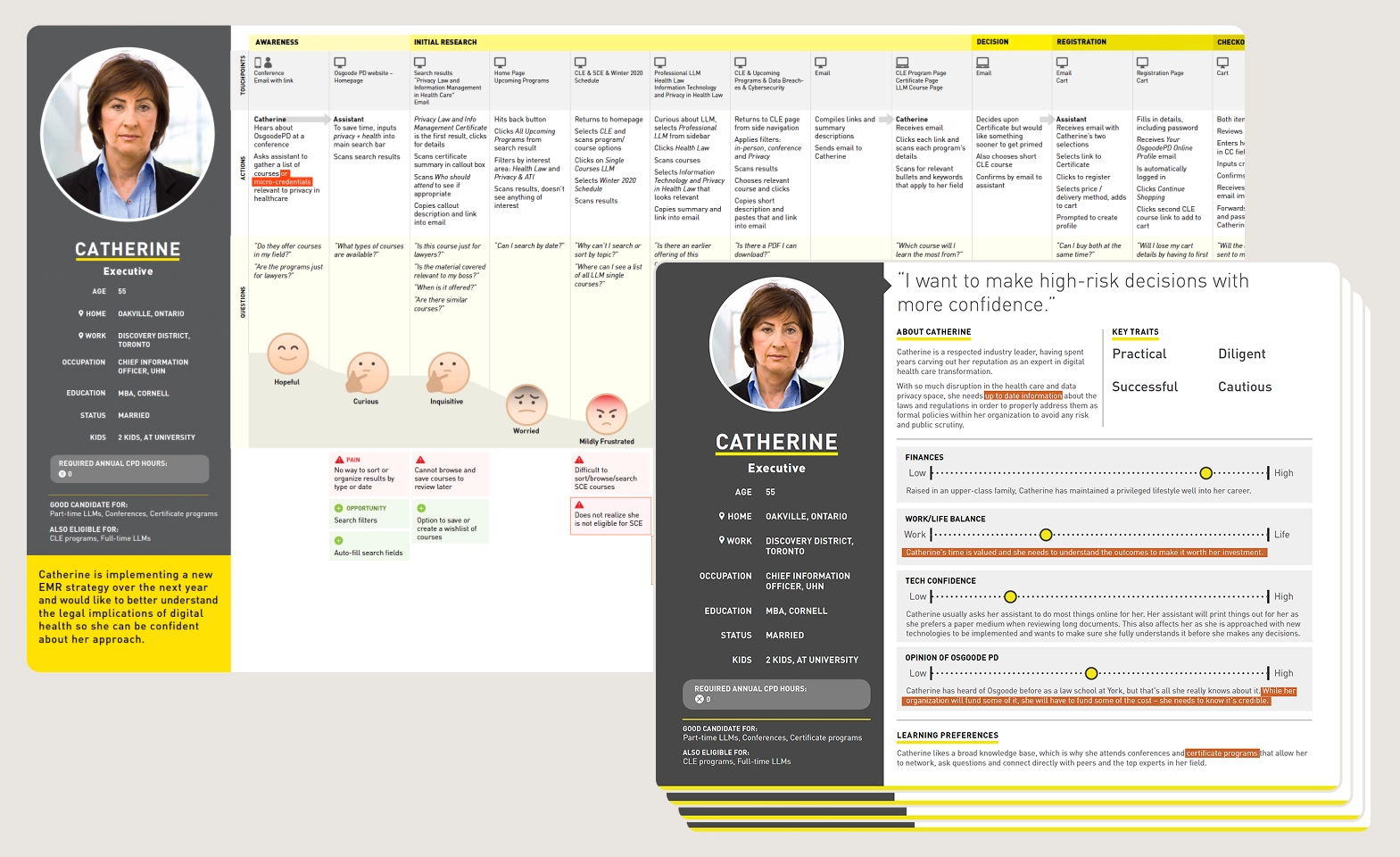 User persona and journey map showing goals, behaviours, pain points, and emotional states.
